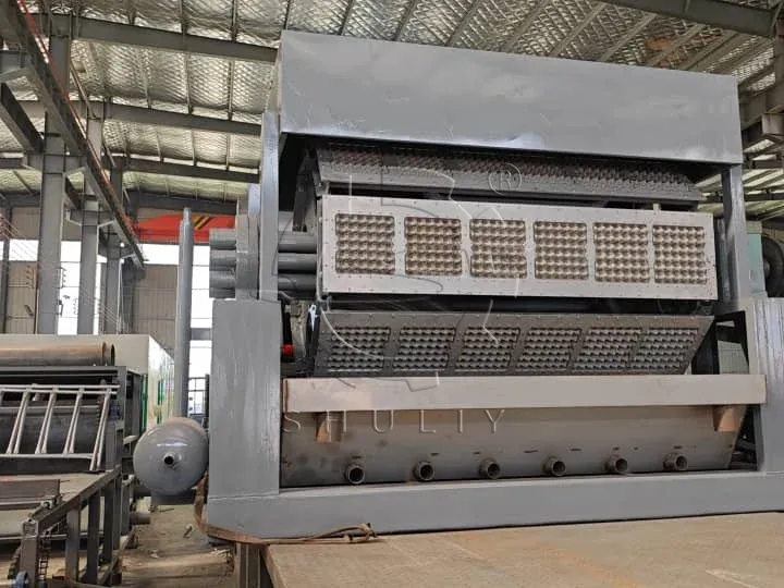 large tray making machine
