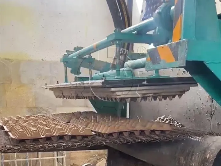 egg tray forming