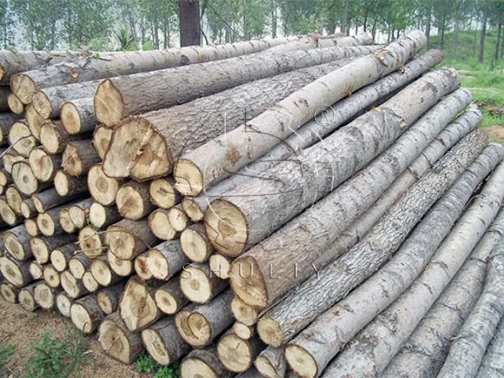 poplar wood