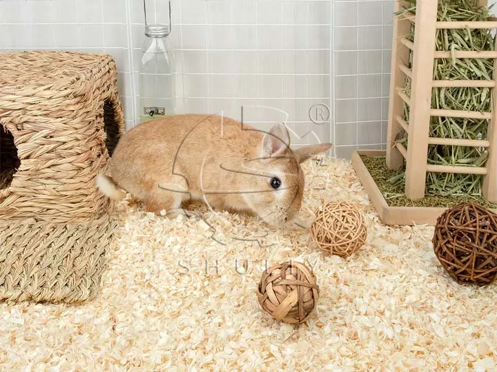 rabbit hutch wood shavings bedding