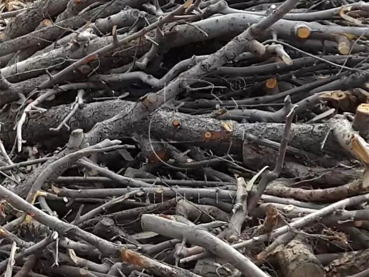 ветки деревьев