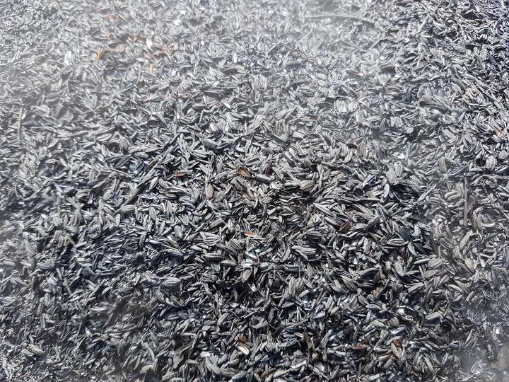 Carbonized rice husk