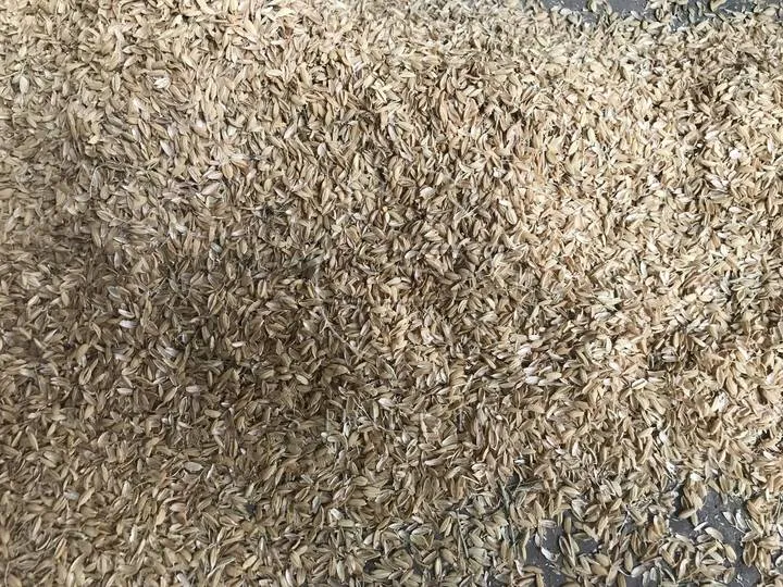 Rice husks