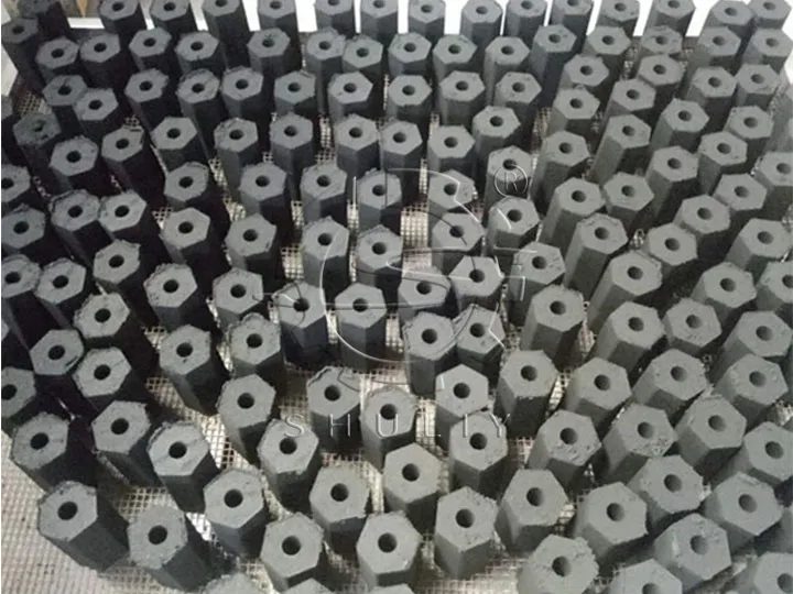 Coal Briquettes with Holes